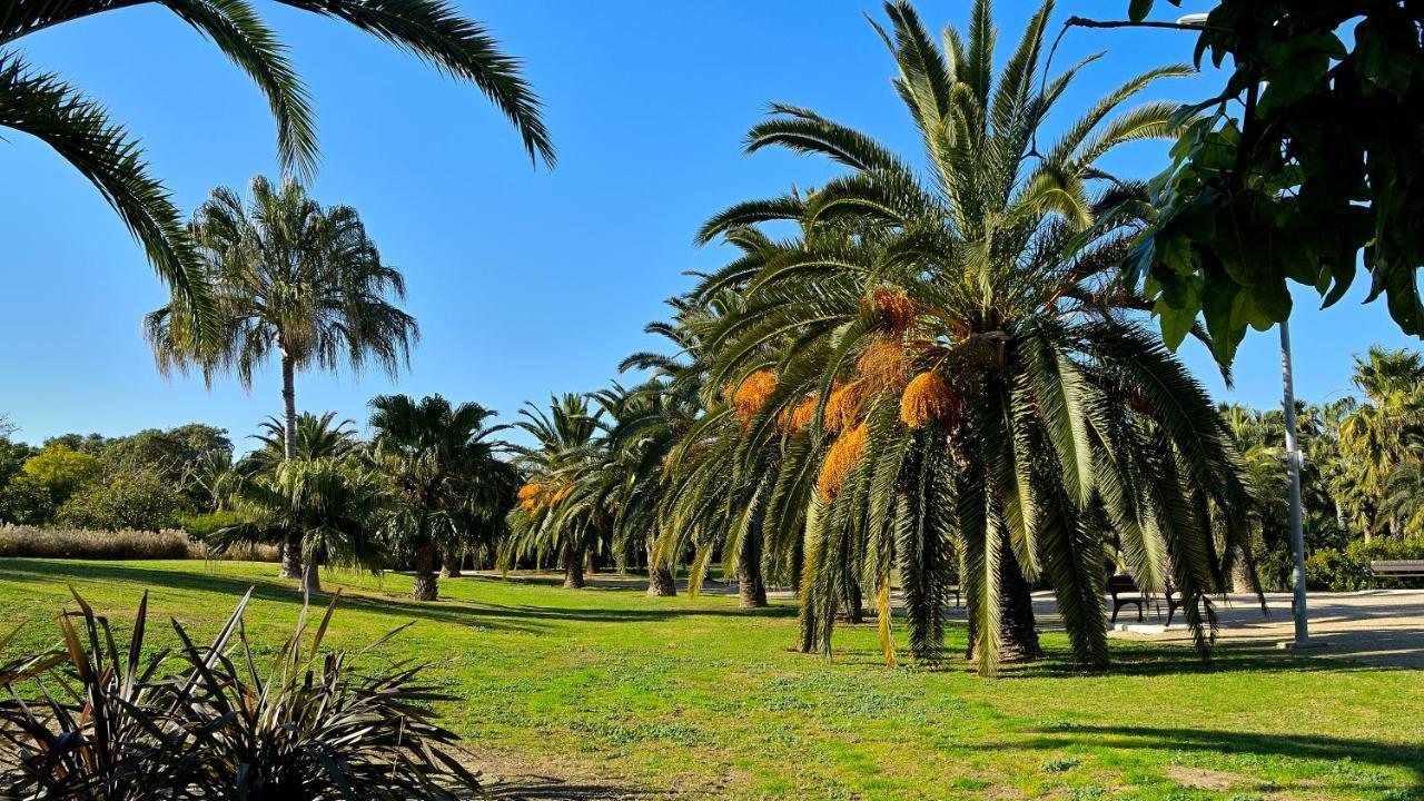 Apartamento Myflats Brisas Del Sur Alicante Exterior foto